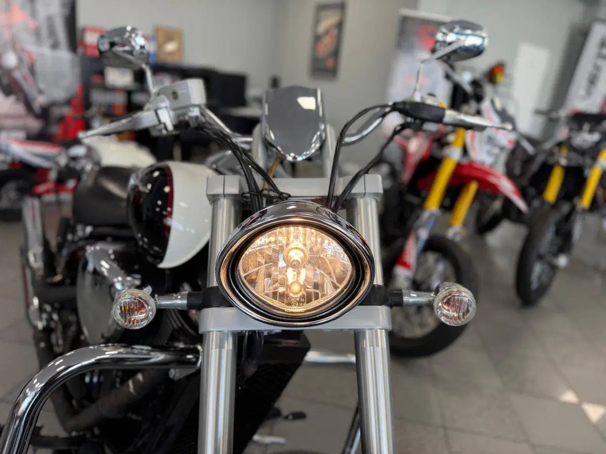 Suzuki Intruder 800 M (2009 - 17) (9)