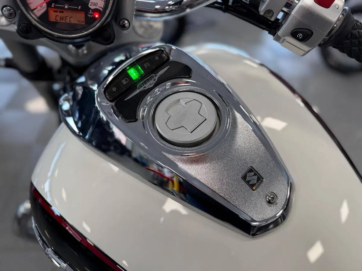 Suzuki Intruder 800 M (2009 - 17) (15)