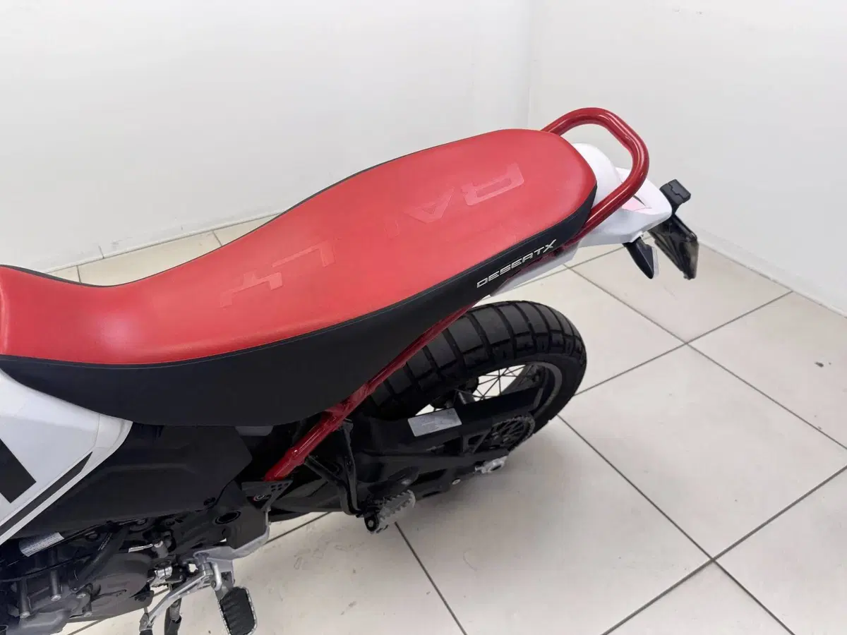Ducati DesertX (2022 - 25) (9)