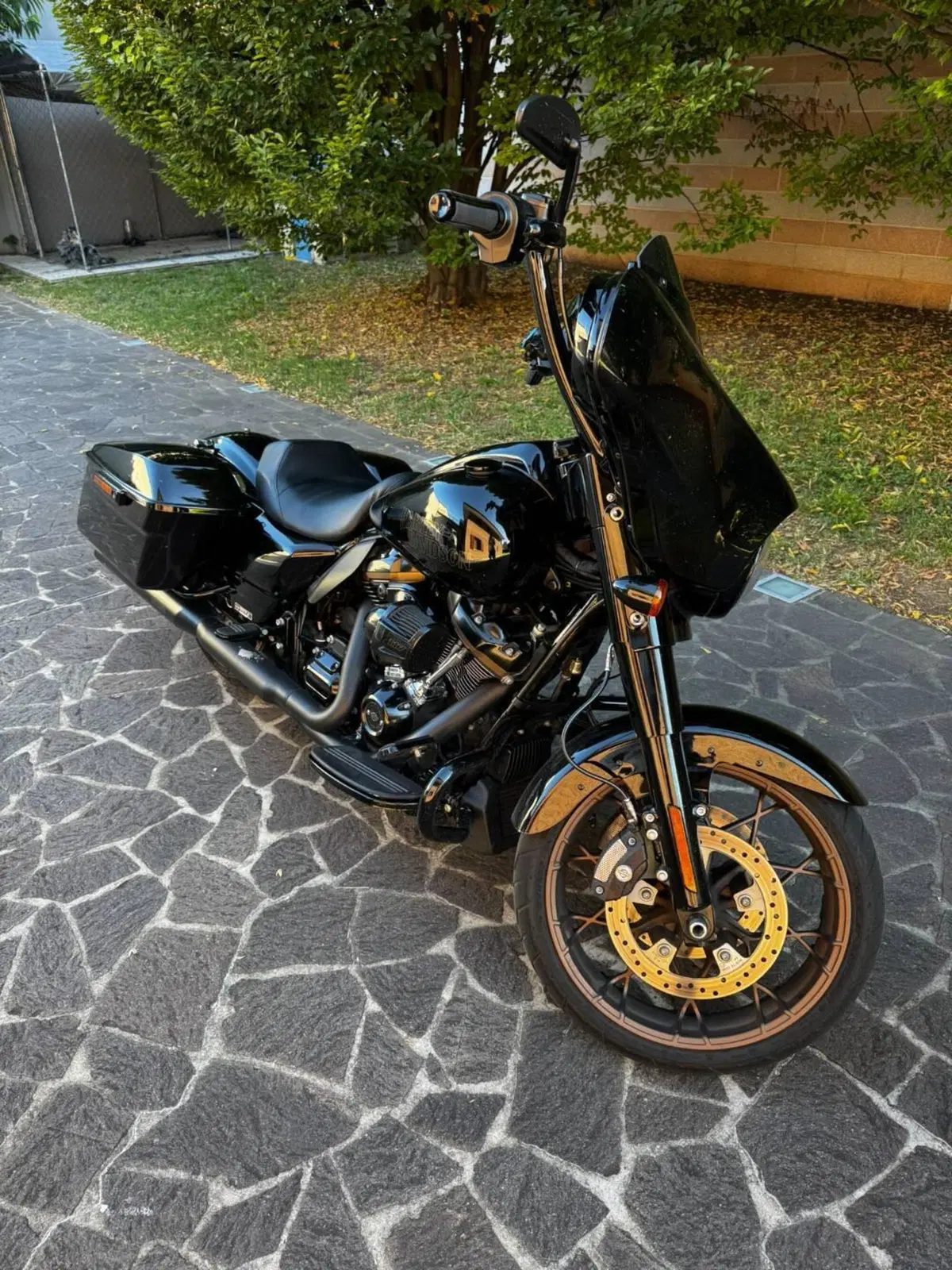Harley-Davidson Street Glide ST (2022 - 23) (5)