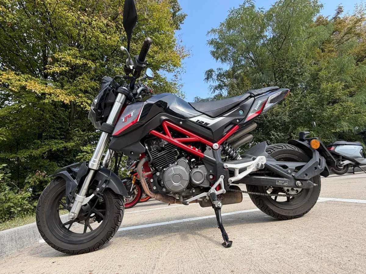 Benelli Tornado Naked T 125 (2021) (3)