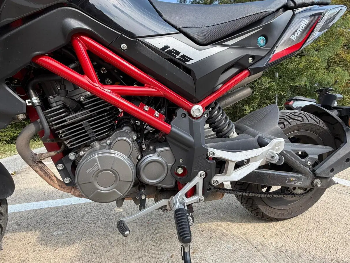 Benelli Tornado Naked T 125 (2021) (14)