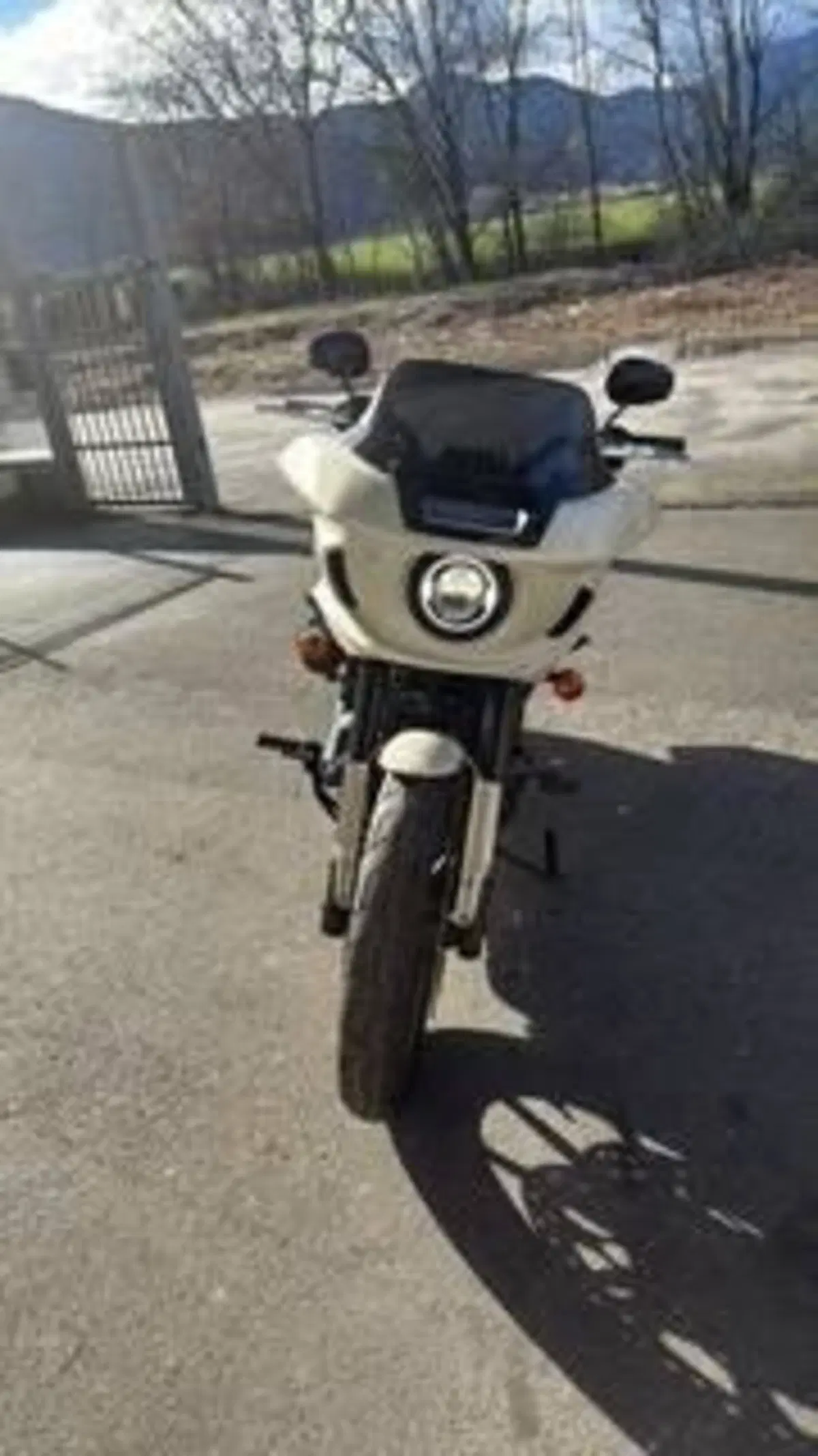 Harley-Davidson Low Rider ST (2022 - 24) (2)