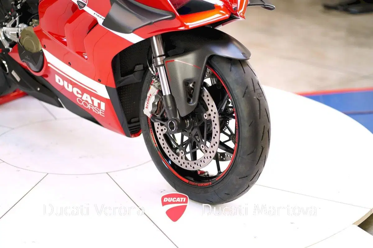 Ducati Panigale V4 1100 (2018 - 19) (16)