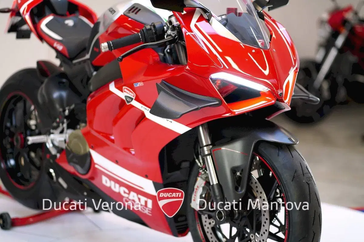 Ducati Panigale V4 1100 (2018 - 19) (17)