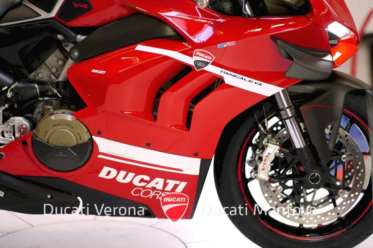 Ducati Panigale V4 1100 (2018 - 19) (18)