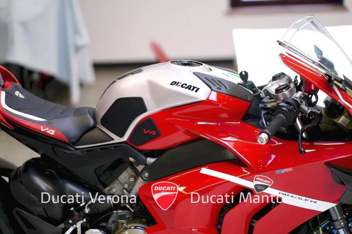 Ducati Panigale V4 1100 (2018 - 19) (19)