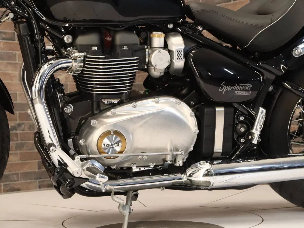 Triumph Bonneville T100 (2026) (14)