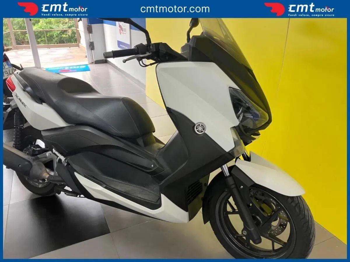 Yamaha X-Max 250 (2014 - 16) (9)
