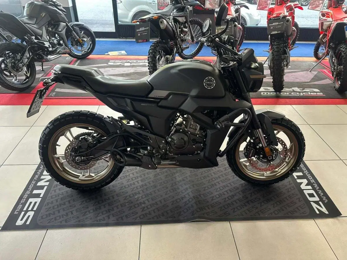 Zontes ZT125-G1 (2020 - 24) (4)