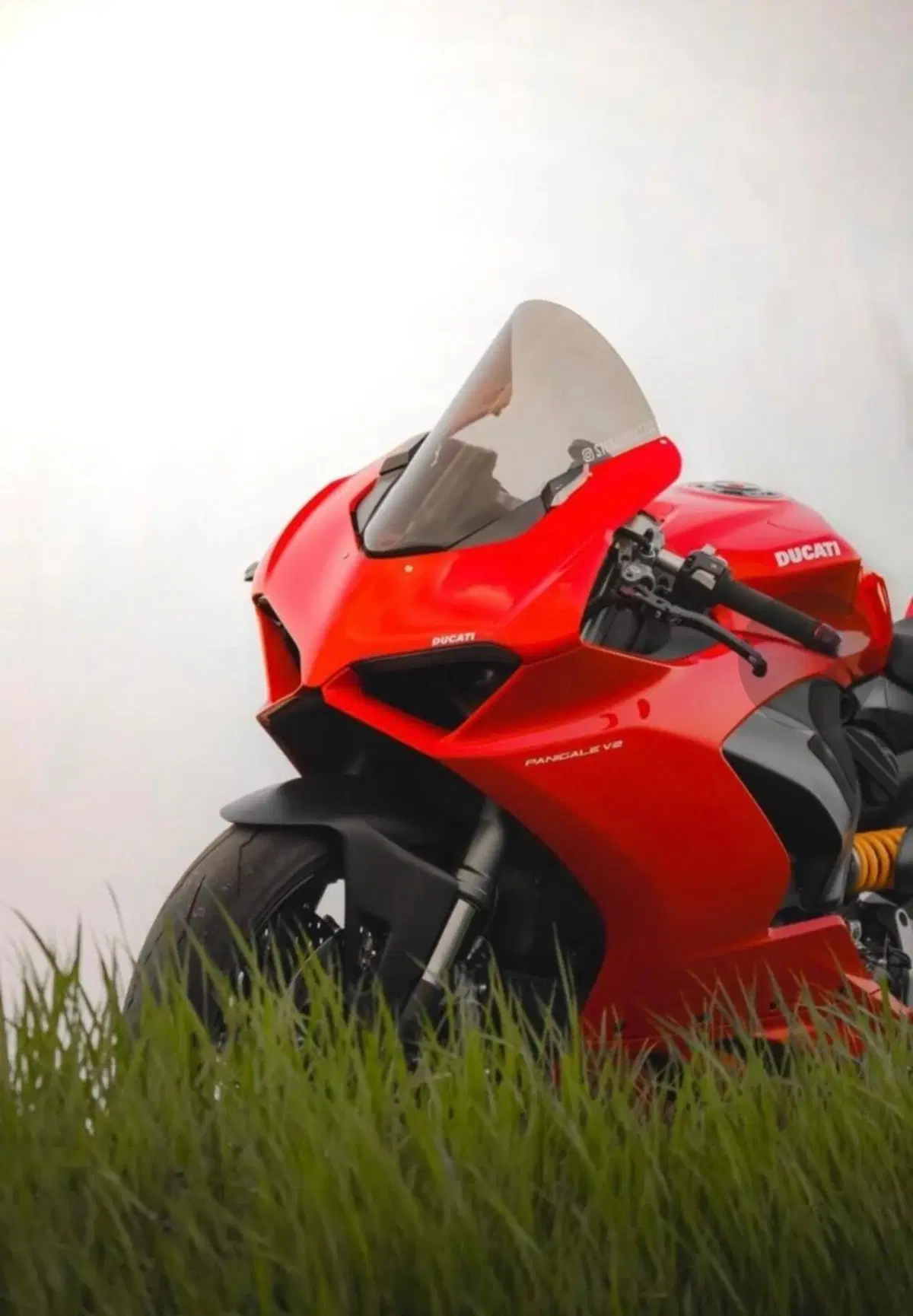 Ducati Panigale V2 (2021 - 24) (2)