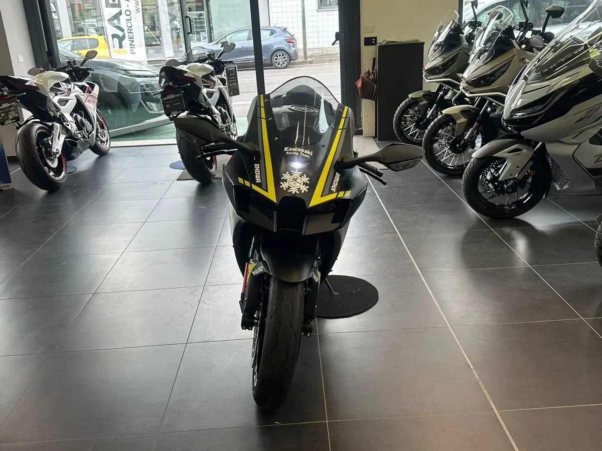Kawasaki Ninja 1000 ZX-10R Performance (2021 - 24) (2)