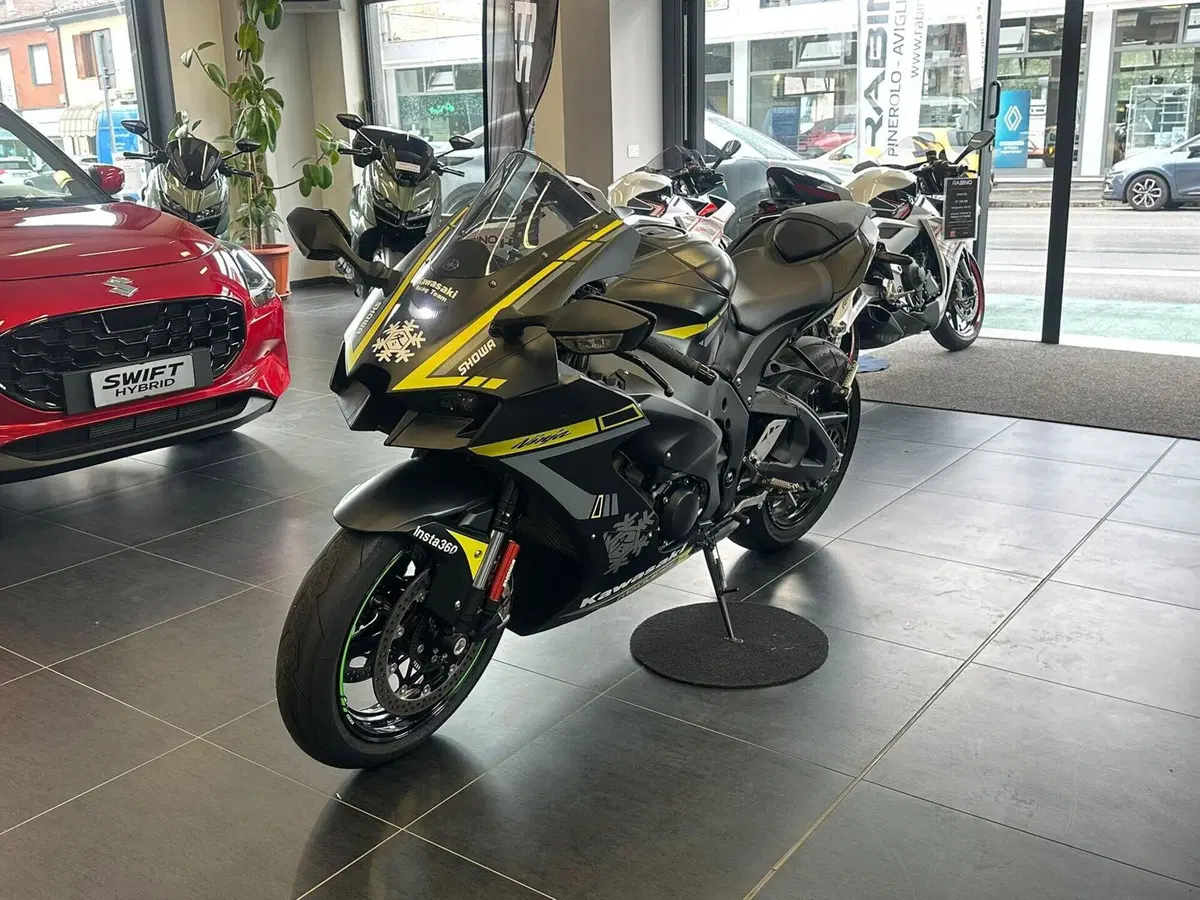 Kawasaki Ninja 1000 ZX-10R Performance (2021 - 24) (3)