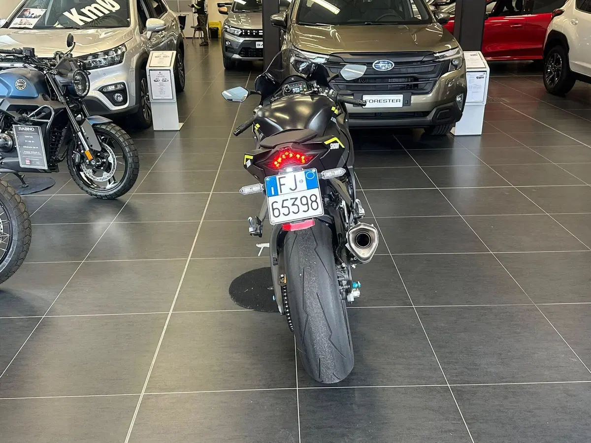 Kawasaki Ninja 1000 ZX-10R Performance (2021 - 24) (6)