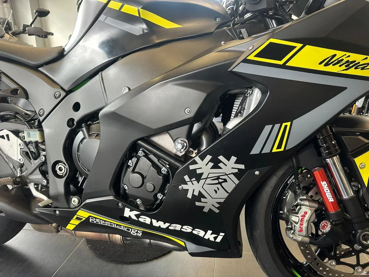 Kawasaki Ninja 1000 ZX-10R Performance (2021 - 24) (13)