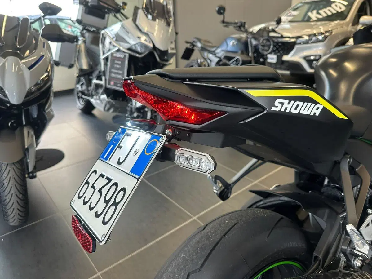 Kawasaki Ninja 1000 ZX-10R Performance (2021 - 24) (14)