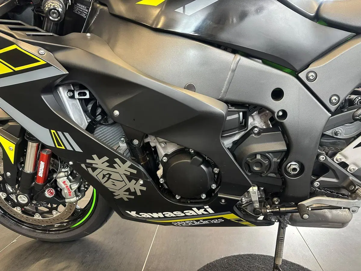 Kawasaki Ninja 1000 ZX-10R Performance (2021 - 24) (15)