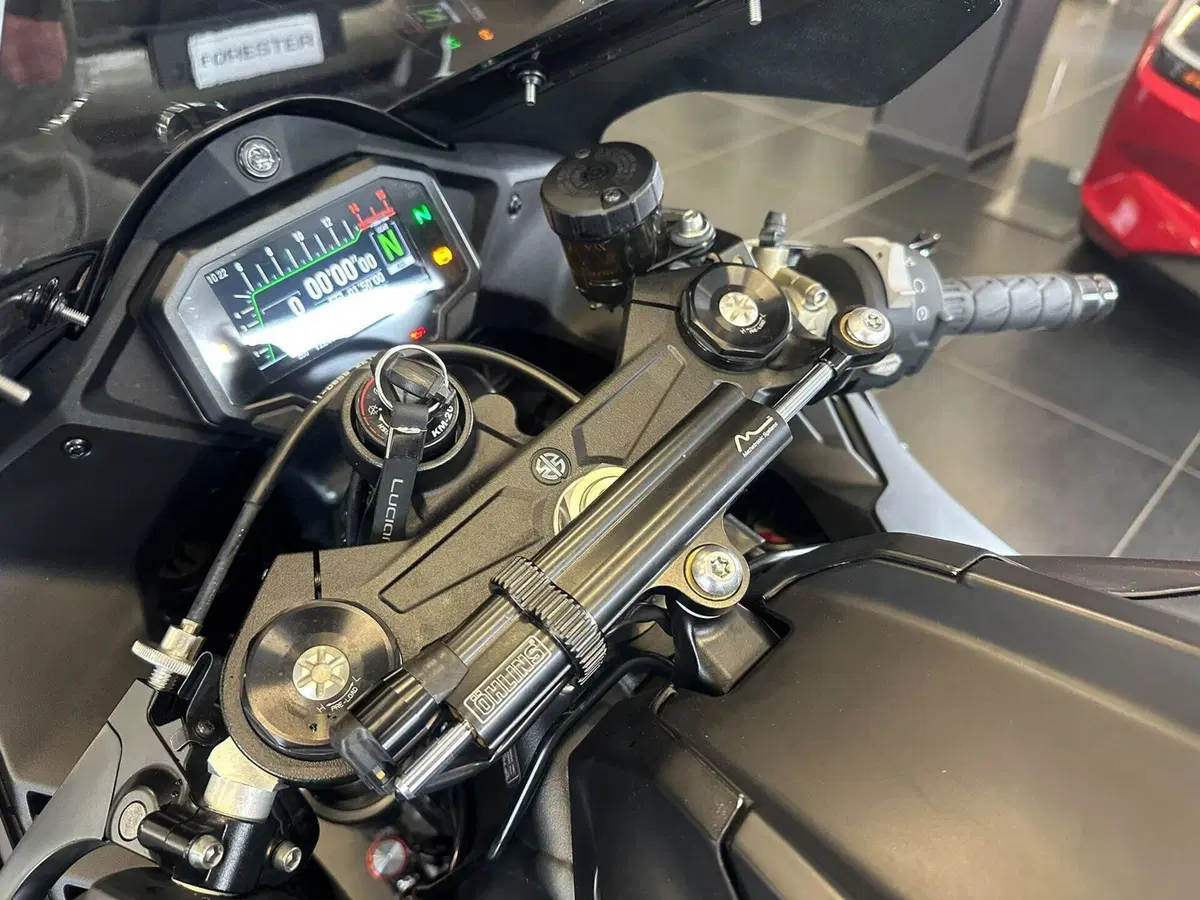 Kawasaki Ninja 1000 ZX-10R Performance (2021 - 24) (17)