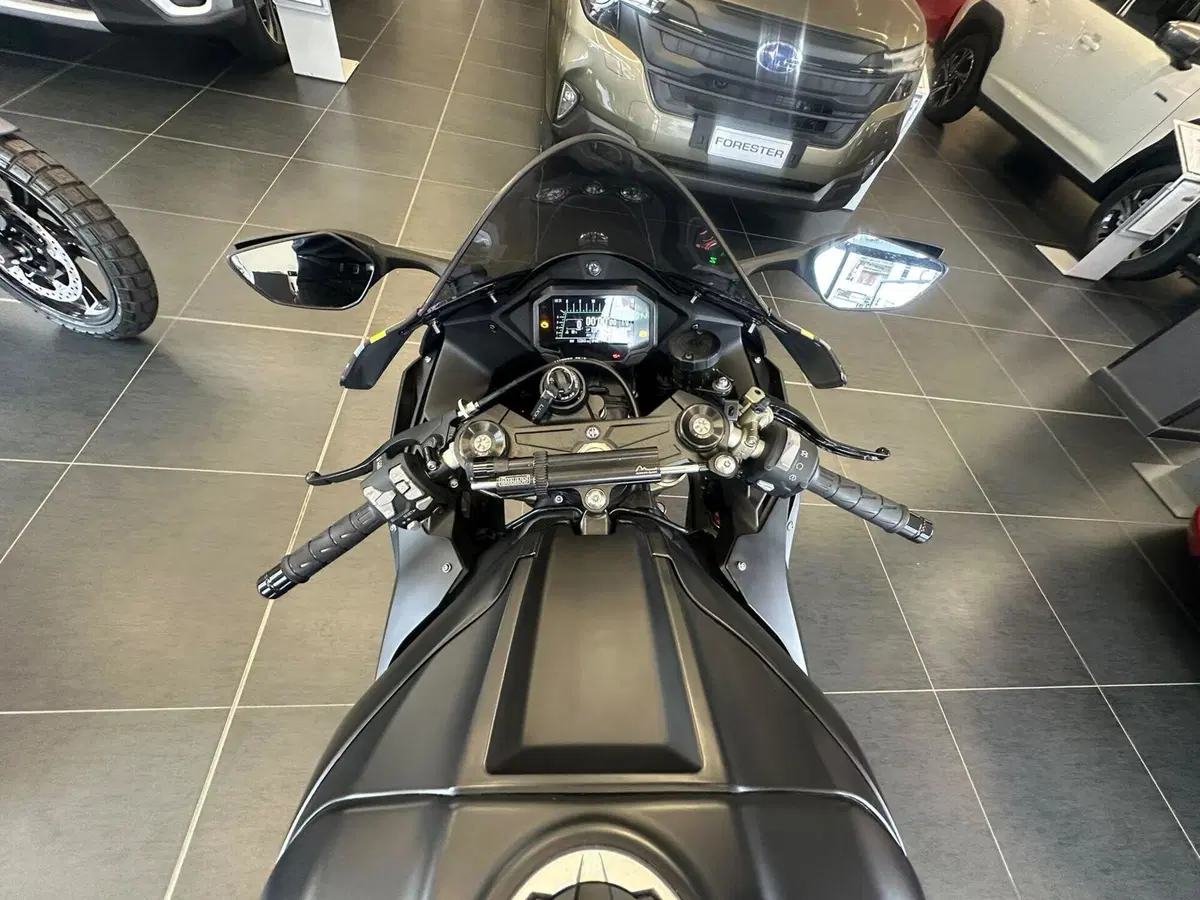 Kawasaki Ninja 1000 ZX-10R Performance (2021 - 24) (18)