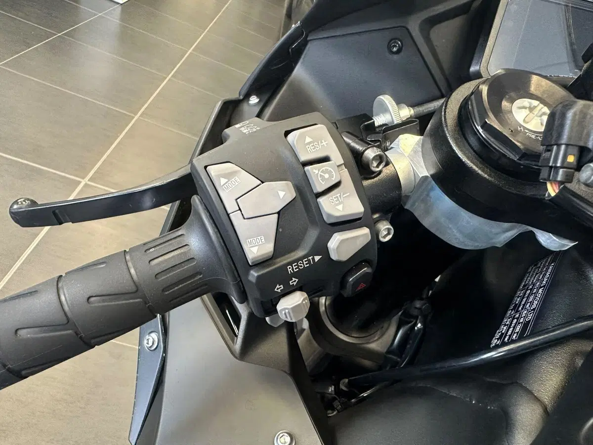 Kawasaki Ninja 1000 ZX-10R Performance (2021 - 24) (20)