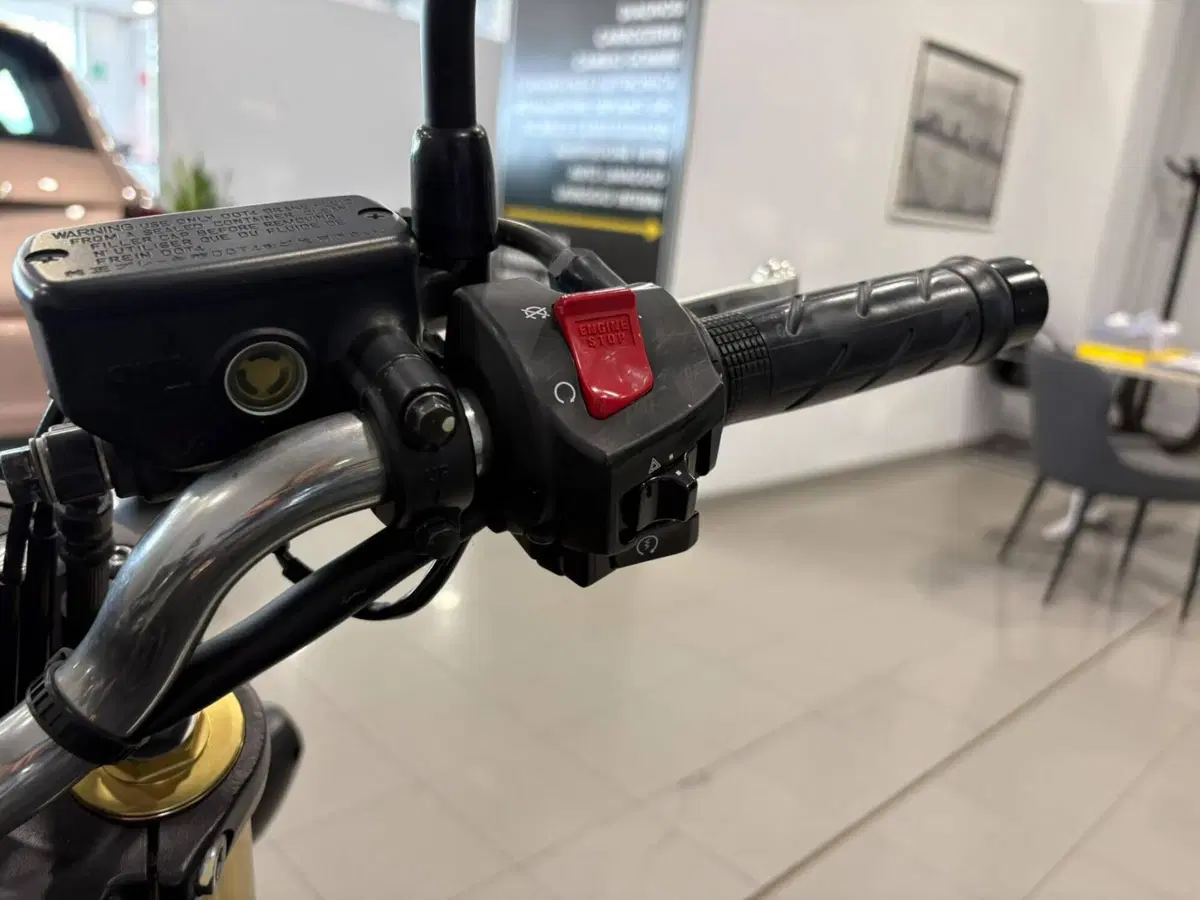Honda Hornet 600 (2011 - 13) (9)