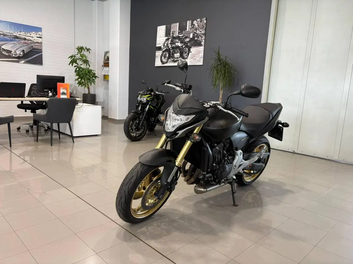 Honda Hornet 600 (2011 - 13)