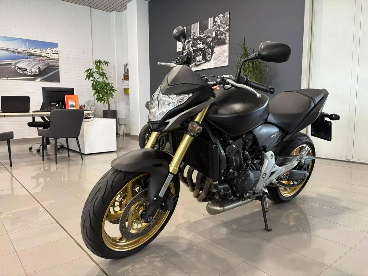 Honda Hornet 600 (2011 - 13) (2)