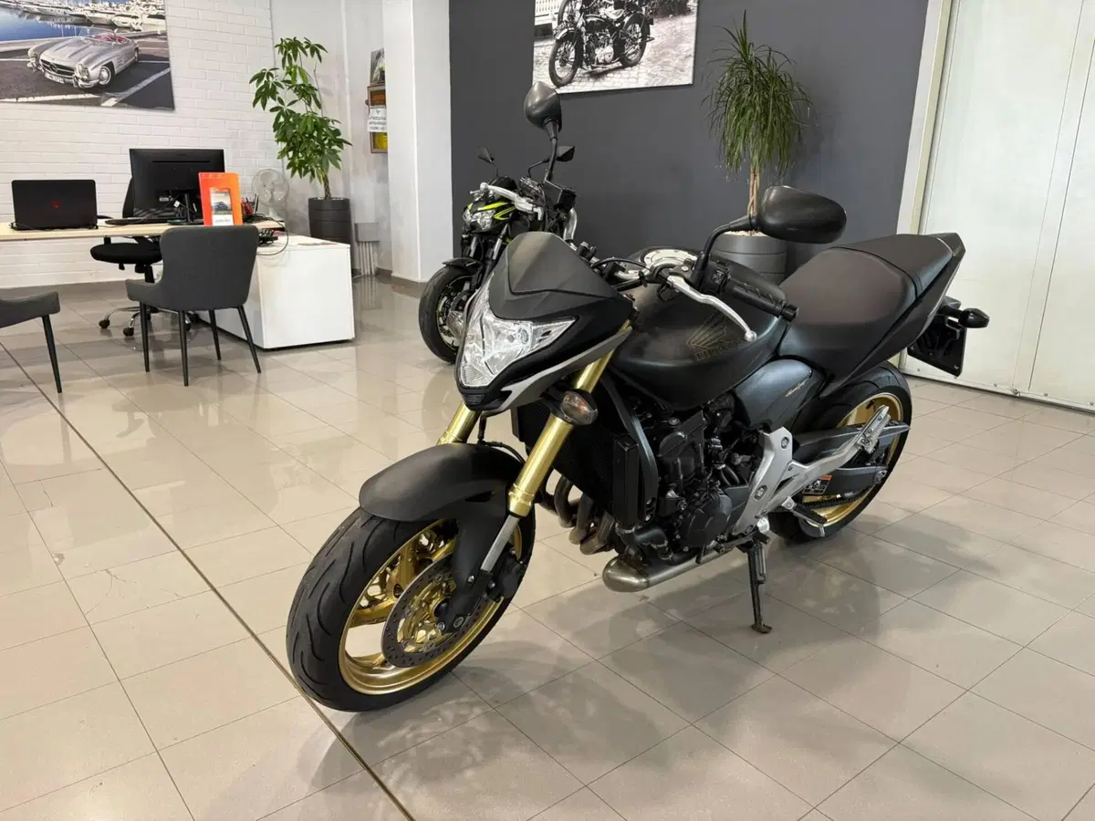 Honda Hornet 600 (2011 - 13) (4)