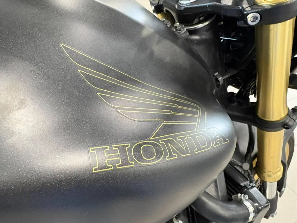Honda Hornet 600 (2011 - 13) (15)