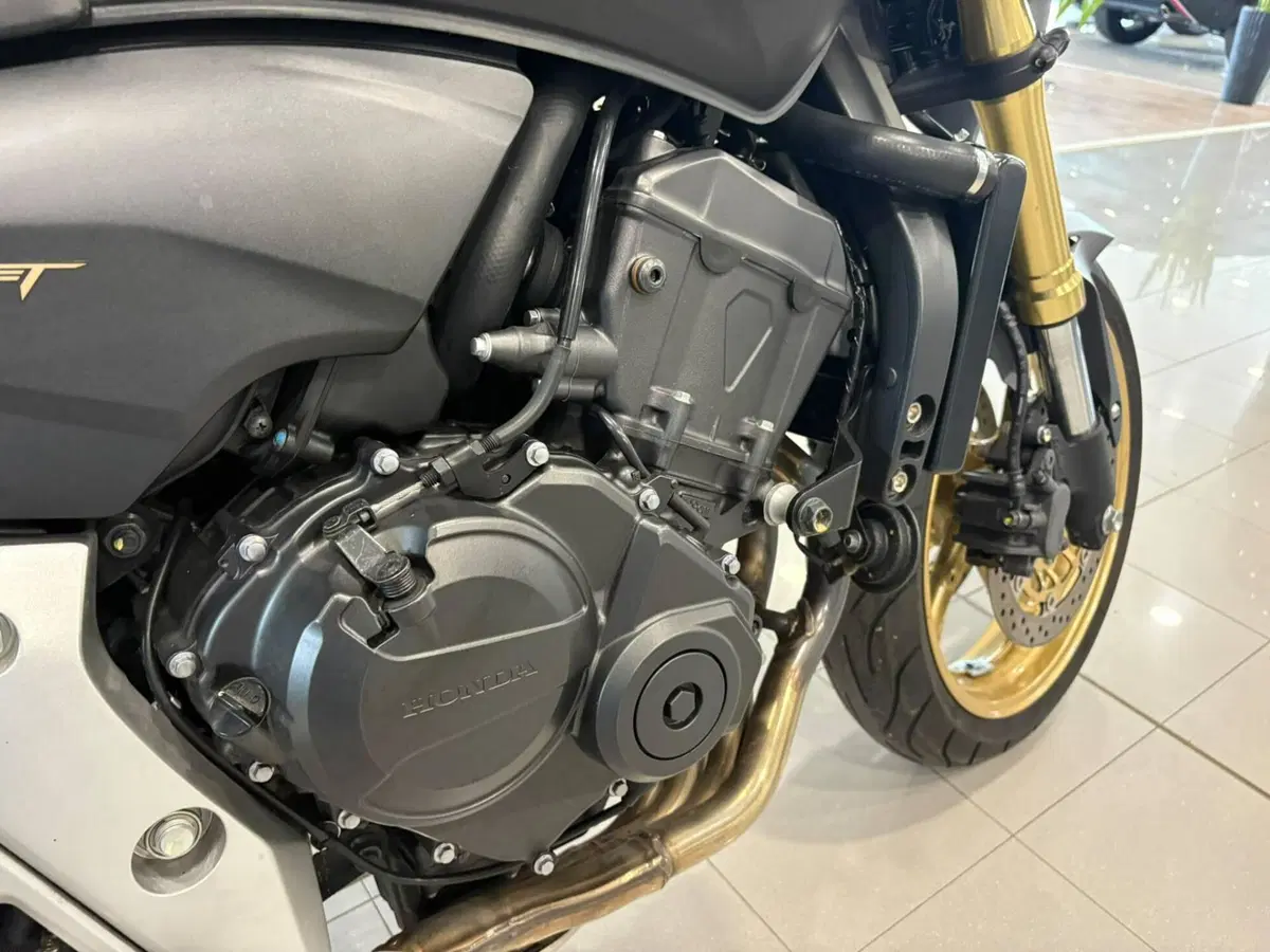 Honda Hornet 600 (2011 - 13) (18)