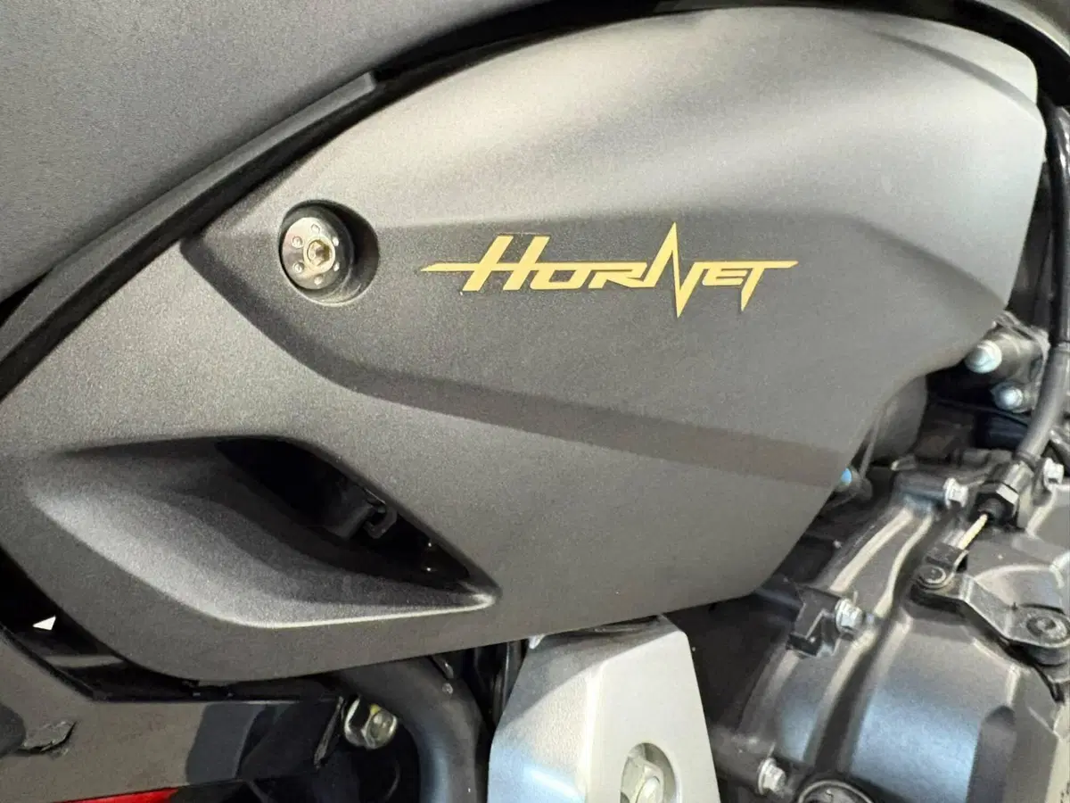 Honda Hornet 600 (2011 - 13) (16)