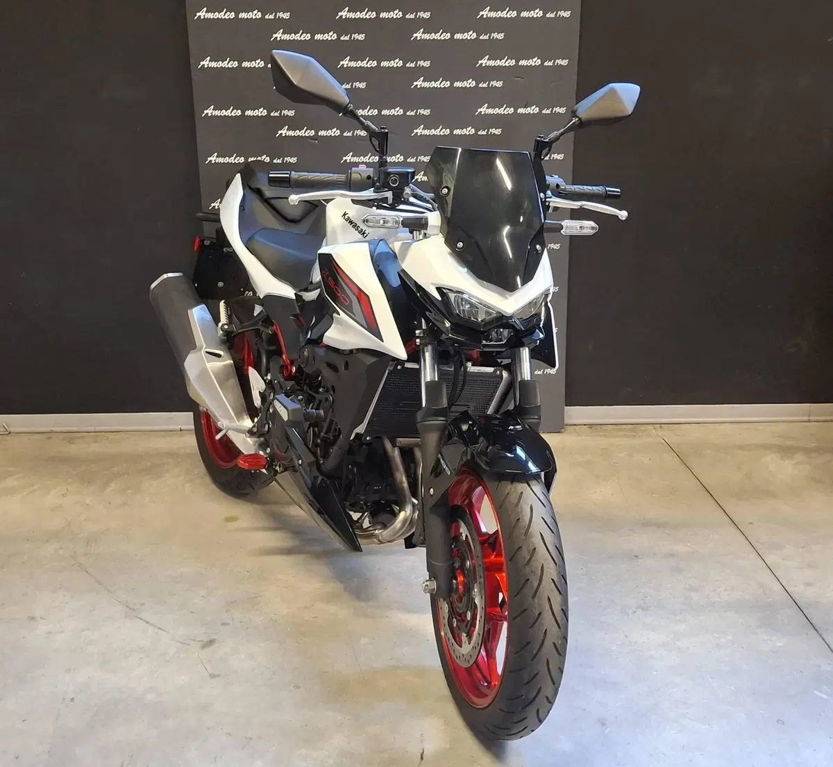 Kawasaki Z 500 SE (2024 - 27) (2)