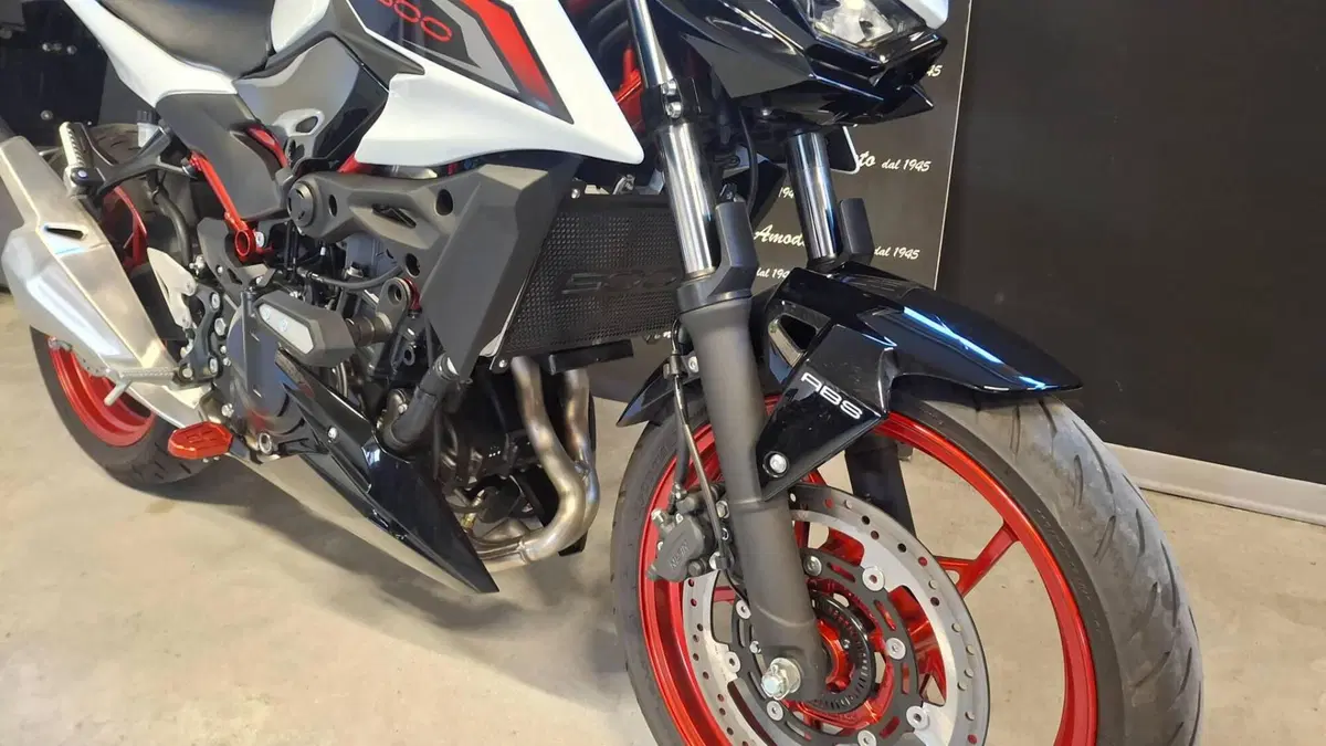 Kawasaki Z 500 SE (2024 - 27) (3)