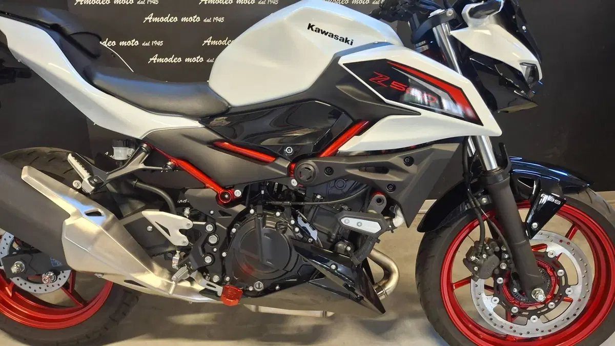 Kawasaki Z 500 SE (2024 - 27) (4)