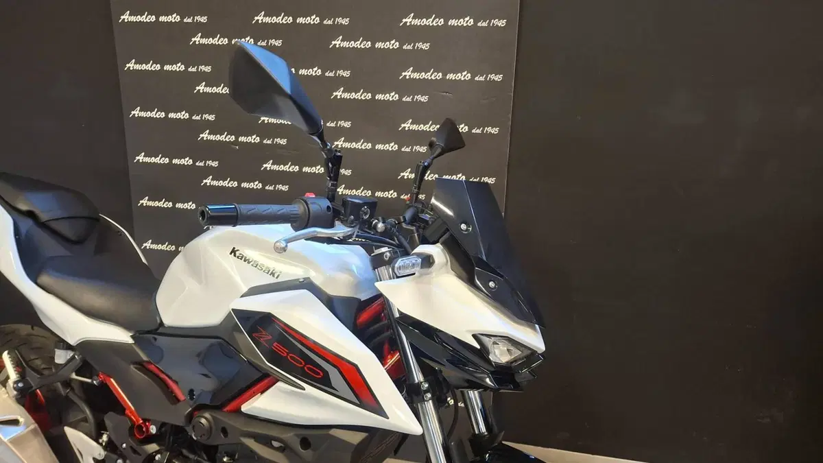 Kawasaki Z 500 SE (2024 - 27) (5)