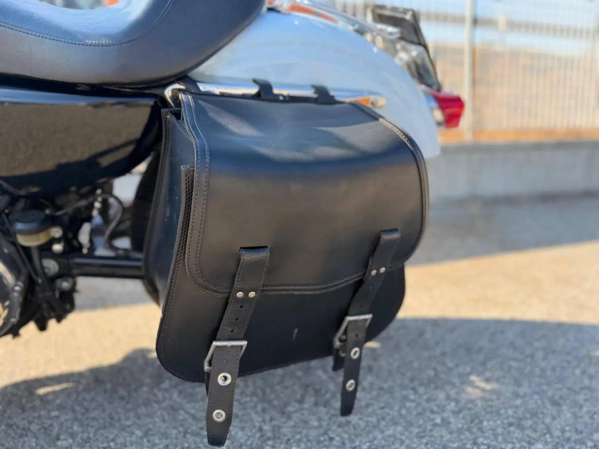 Harley-Davidson 883 Standard (2001 - 05) - XL 883 (2)