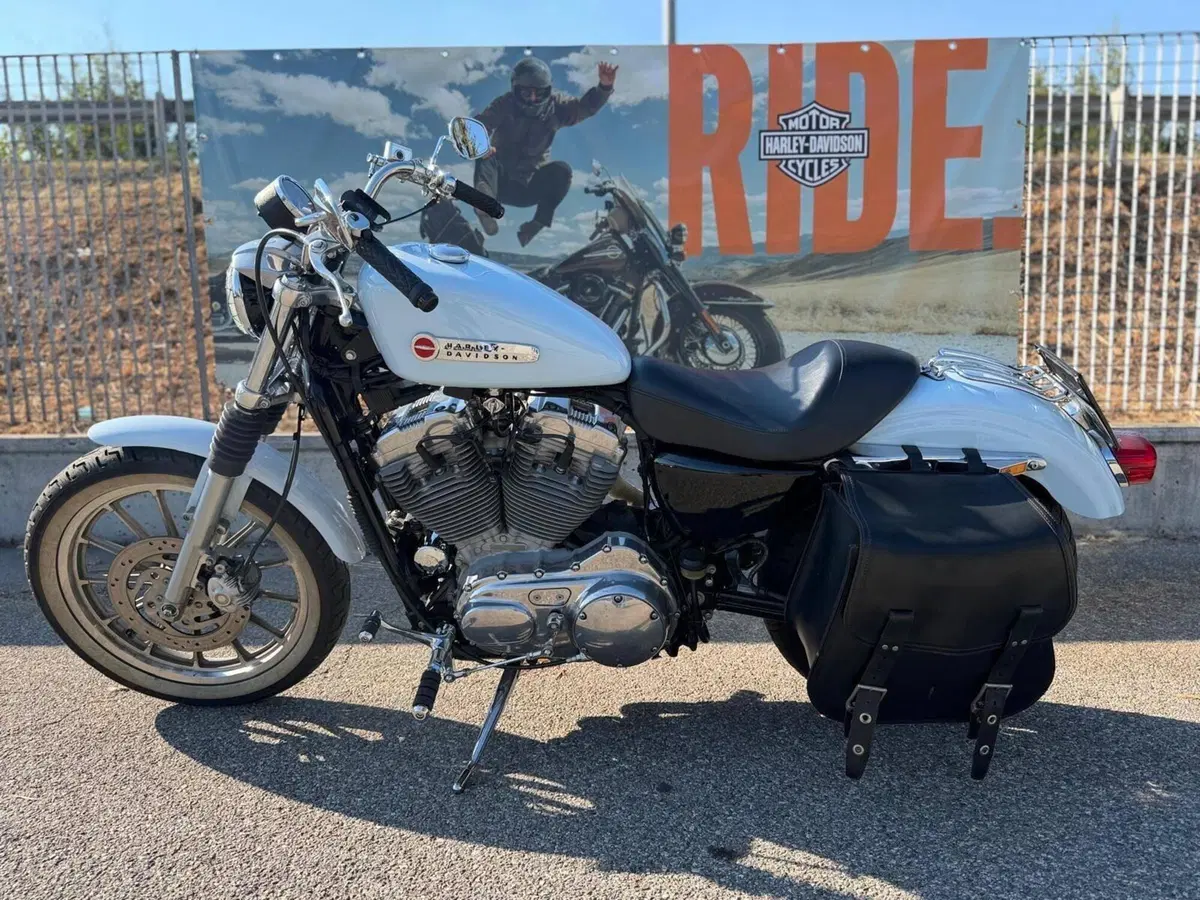 Harley-Davidson 883 Standard (2001 - 05) - XL 883 (3)