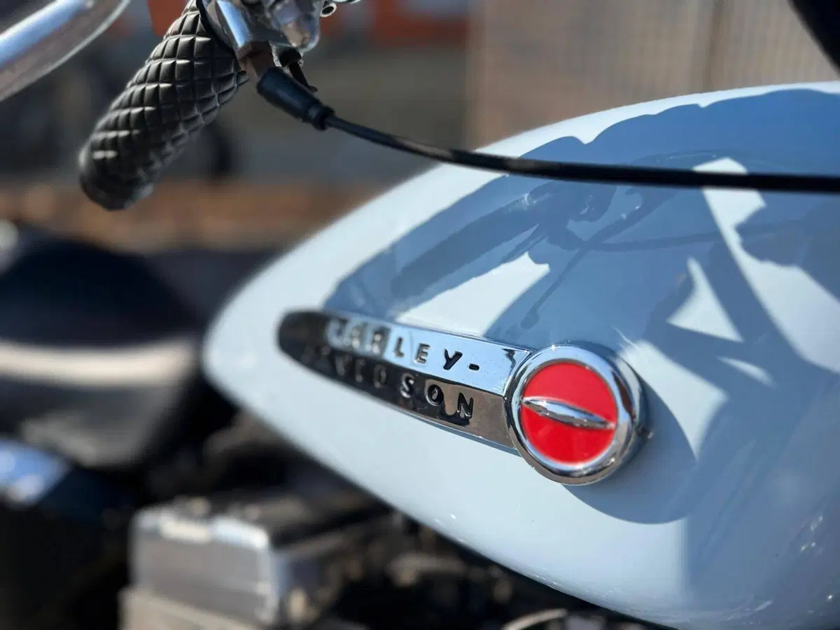 Harley-Davidson 883 Standard (2001 - 05) - XL 883 (4)