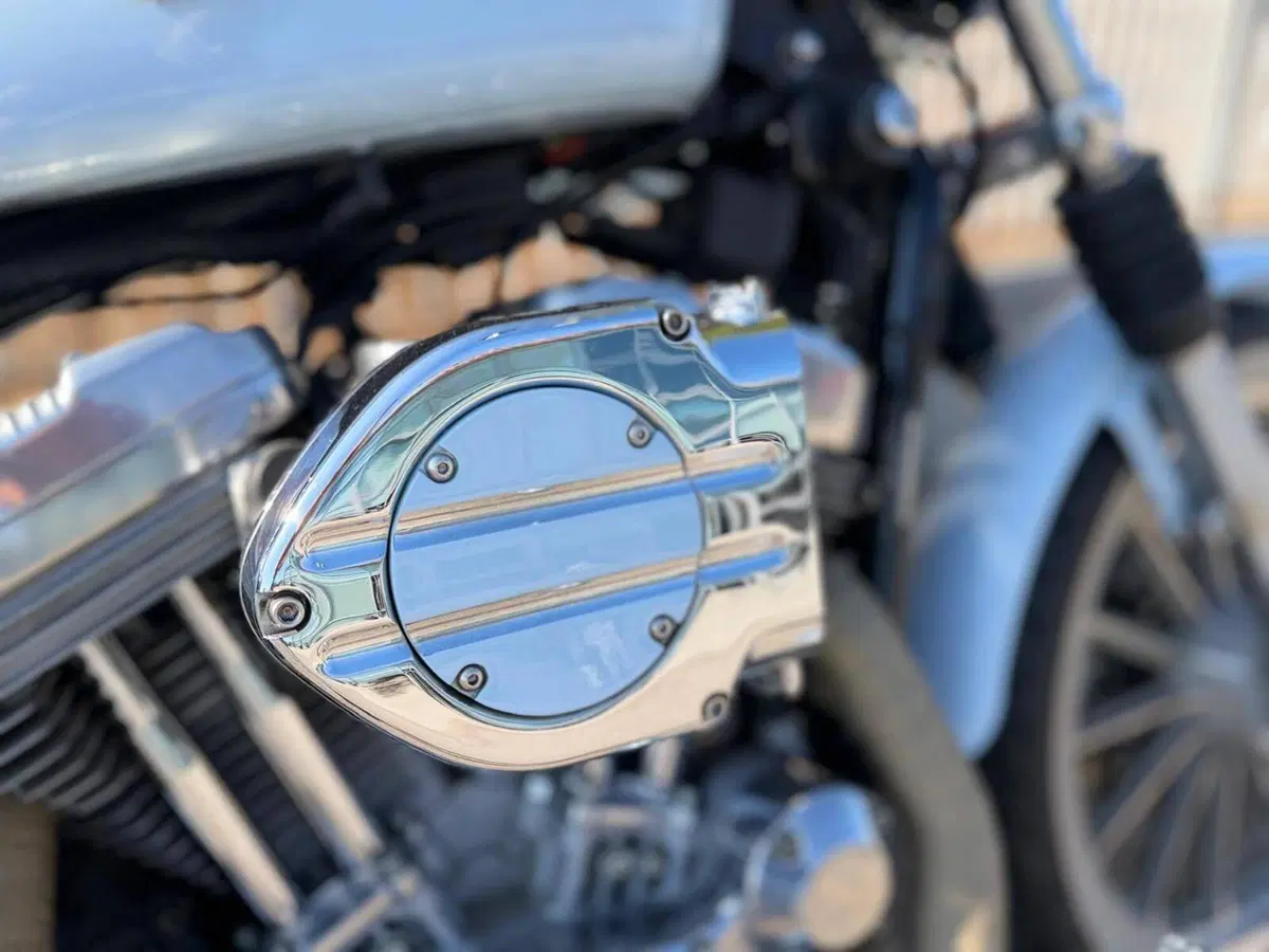 Harley-Davidson 883 Standard (2001 - 05) - XL 883 (8)