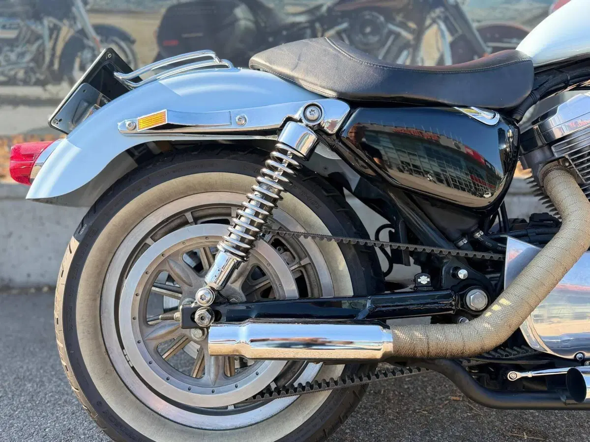 Harley-Davidson 883 Standard (2001 - 05) - XL 883 (9)