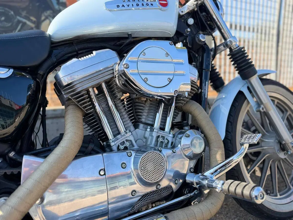 Harley-Davidson 883 Standard (2001 - 05) - XL 883 (10)