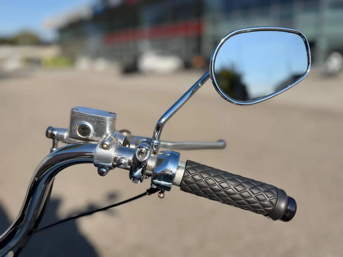 Harley-Davidson 883 Standard (2001 - 05) - XL 883 (11)