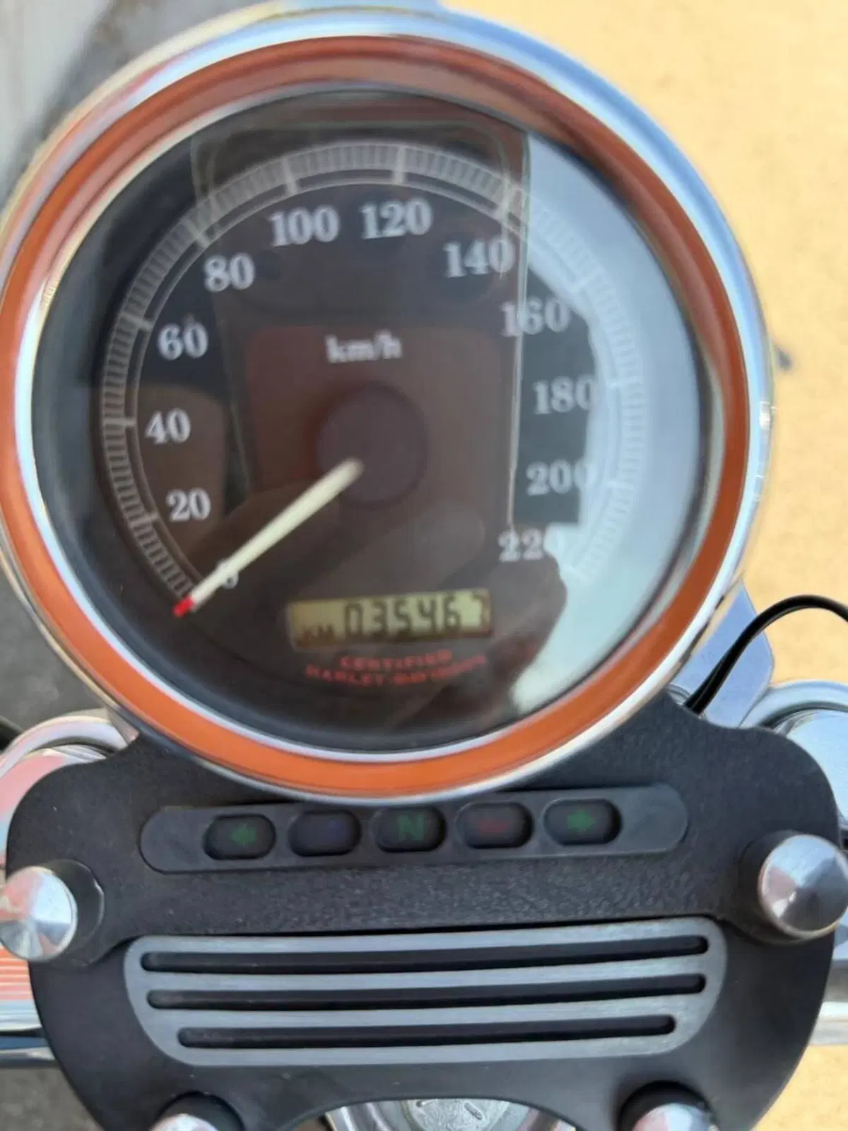 Harley-Davidson 883 Standard (2001 - 05) - XL 883 (12)