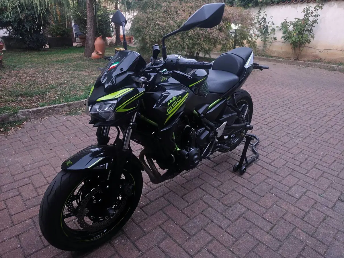 Kawasaki Z 650 (2020) (5)