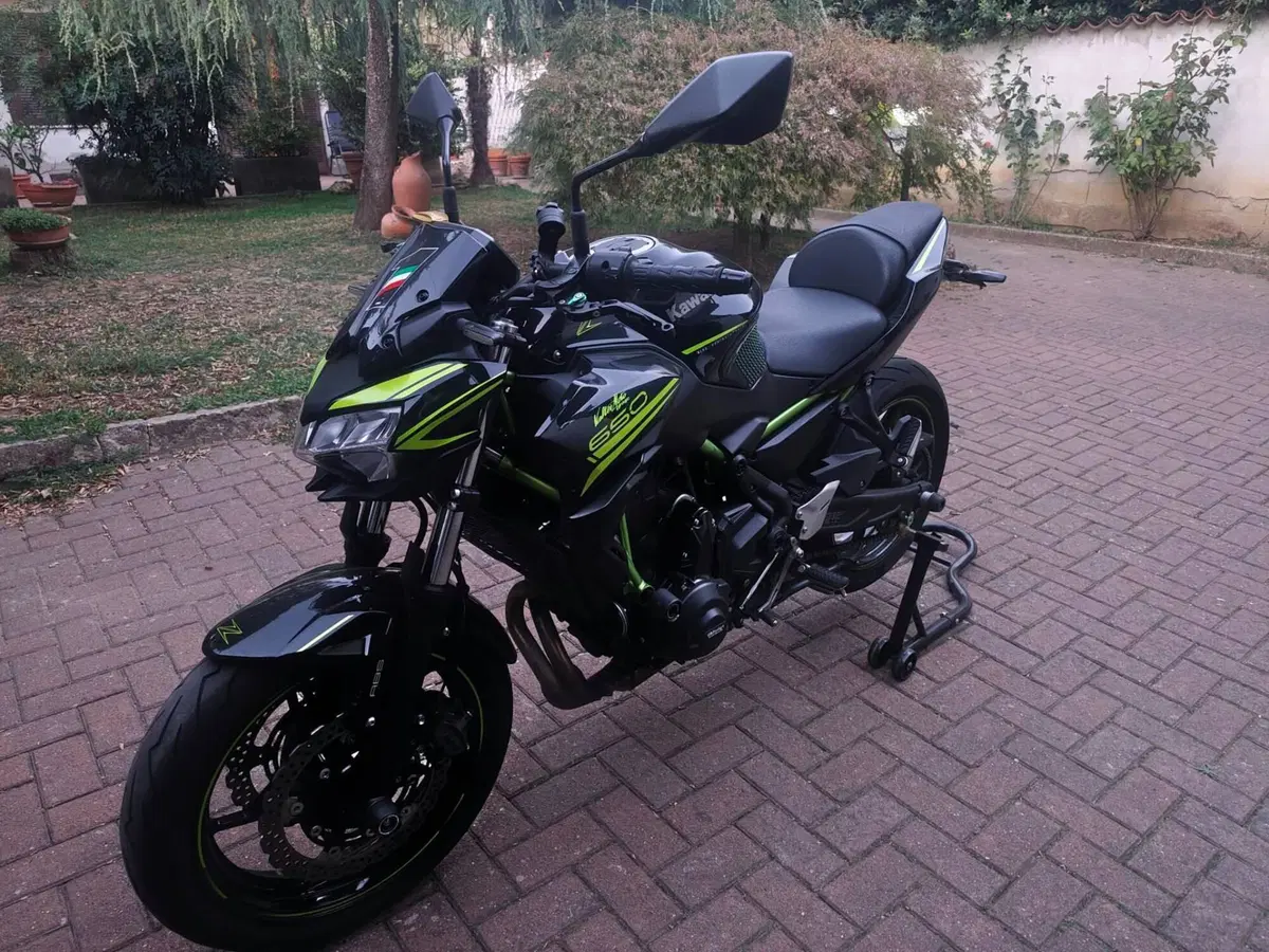 Kawasaki Z 650 (2020) (6)