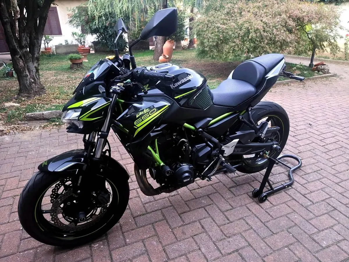 Kawasaki Z 650 (2020) (8)