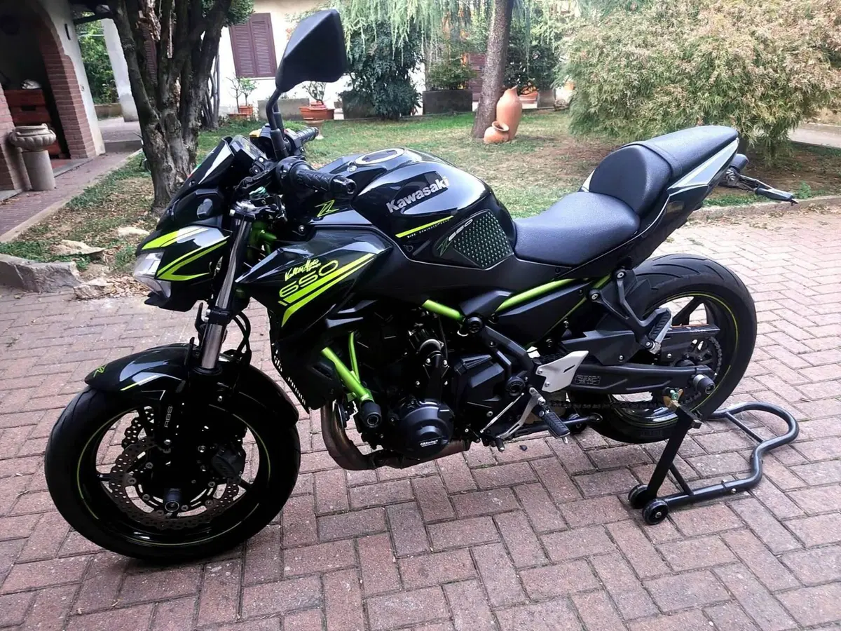Kawasaki Z 650 (2020) (9)