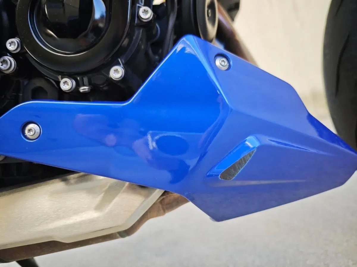 Bmw F 900 R (2021 - 24) (17)