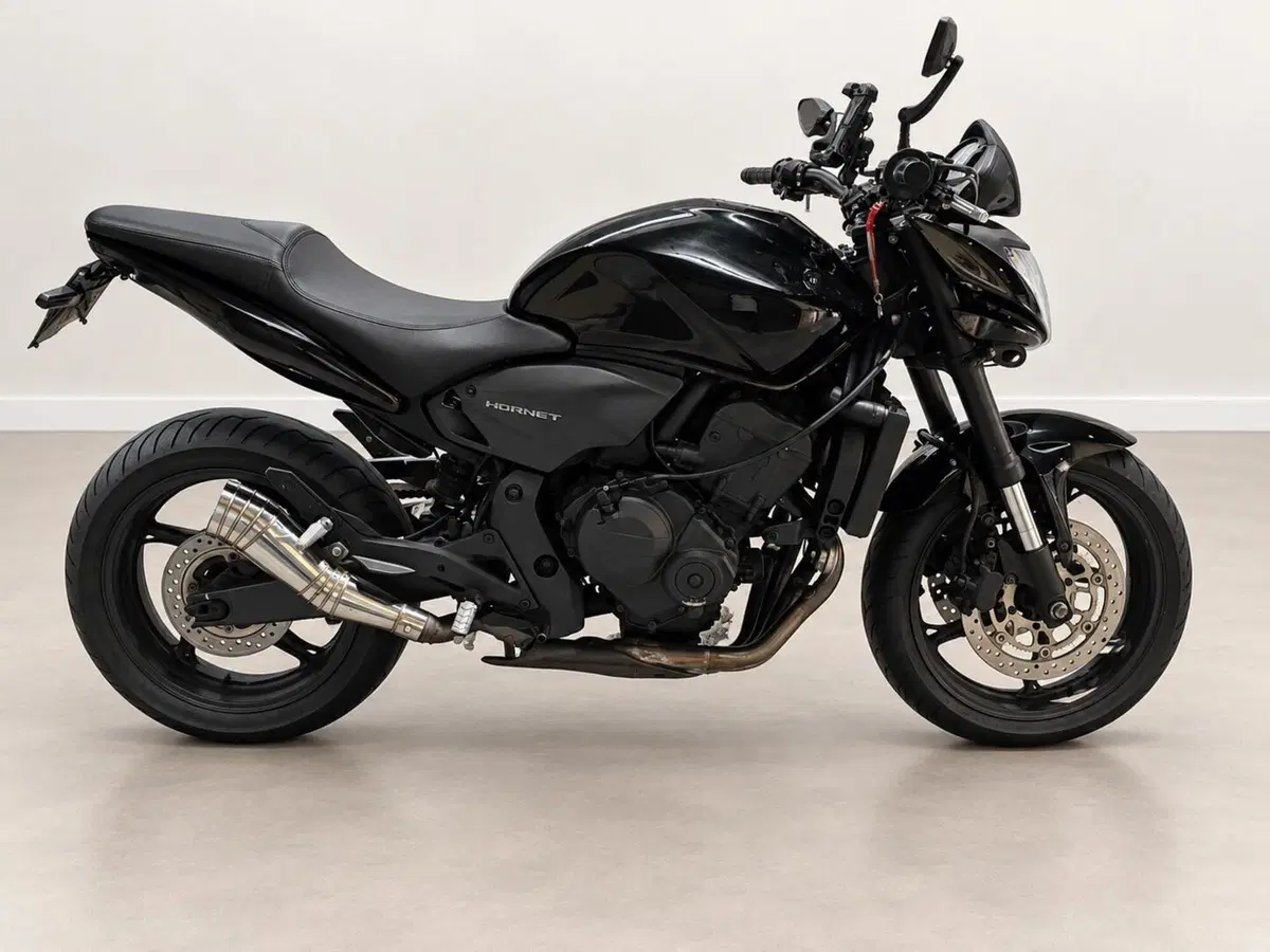 Honda Hornet 600 (2007 - 10) (3)
