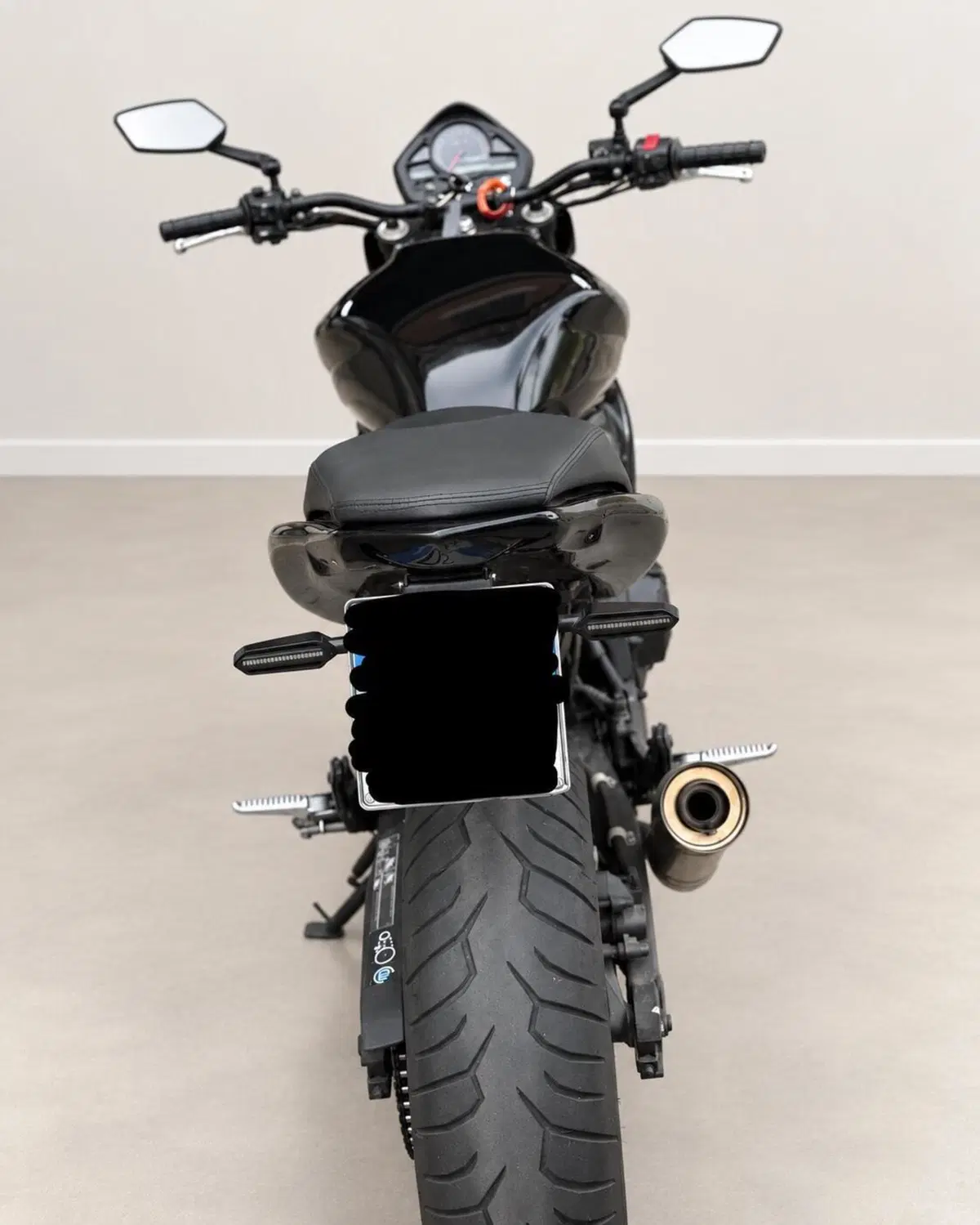 Honda Hornet 600 (2007 - 10) (5)